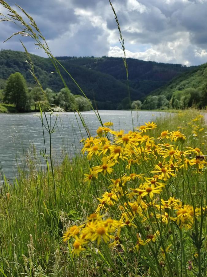 Entre Meuse Et Foret Revin  Bagian luar foto