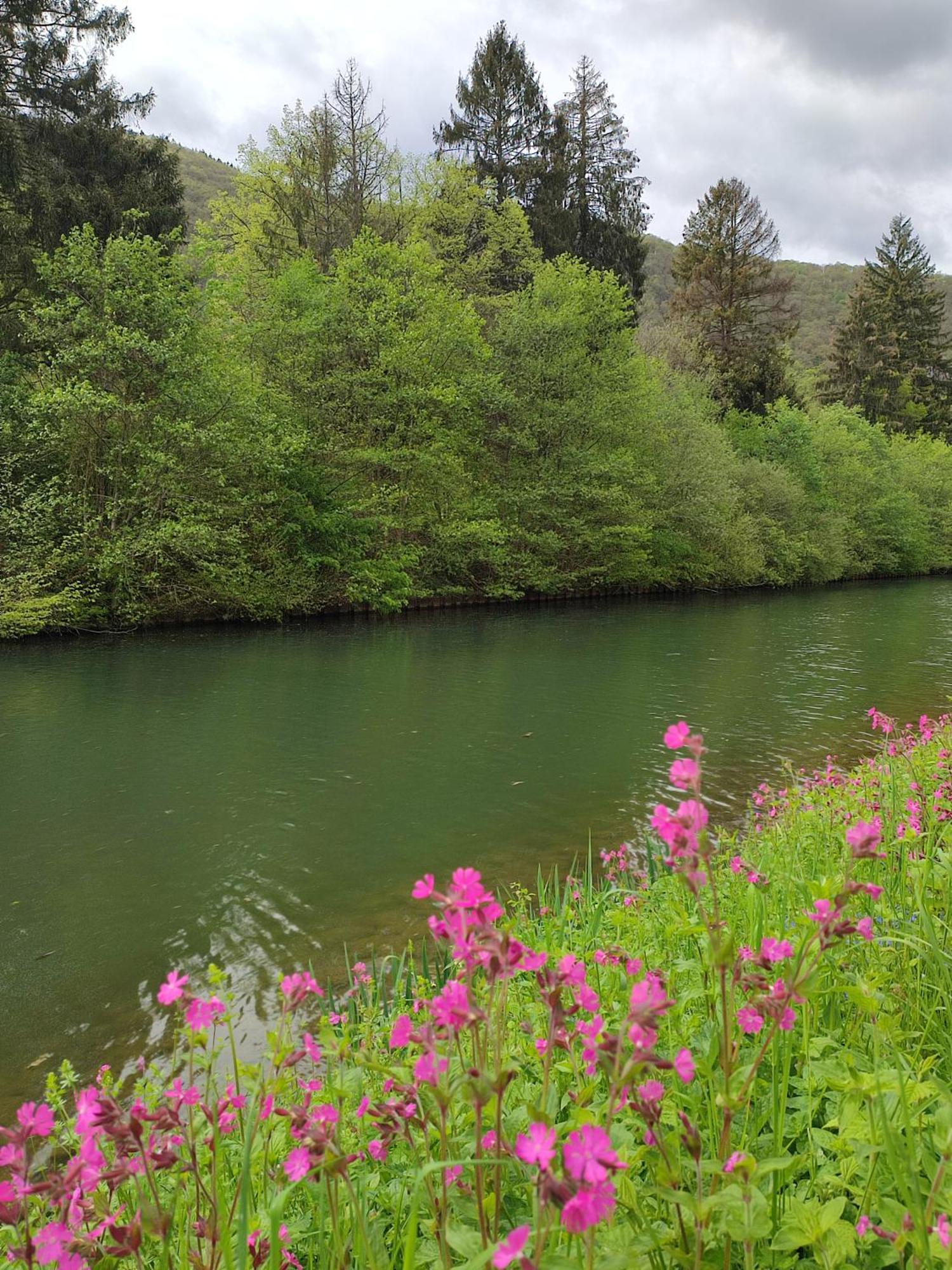 Entre Meuse Et Foret Revin  Bagian luar foto